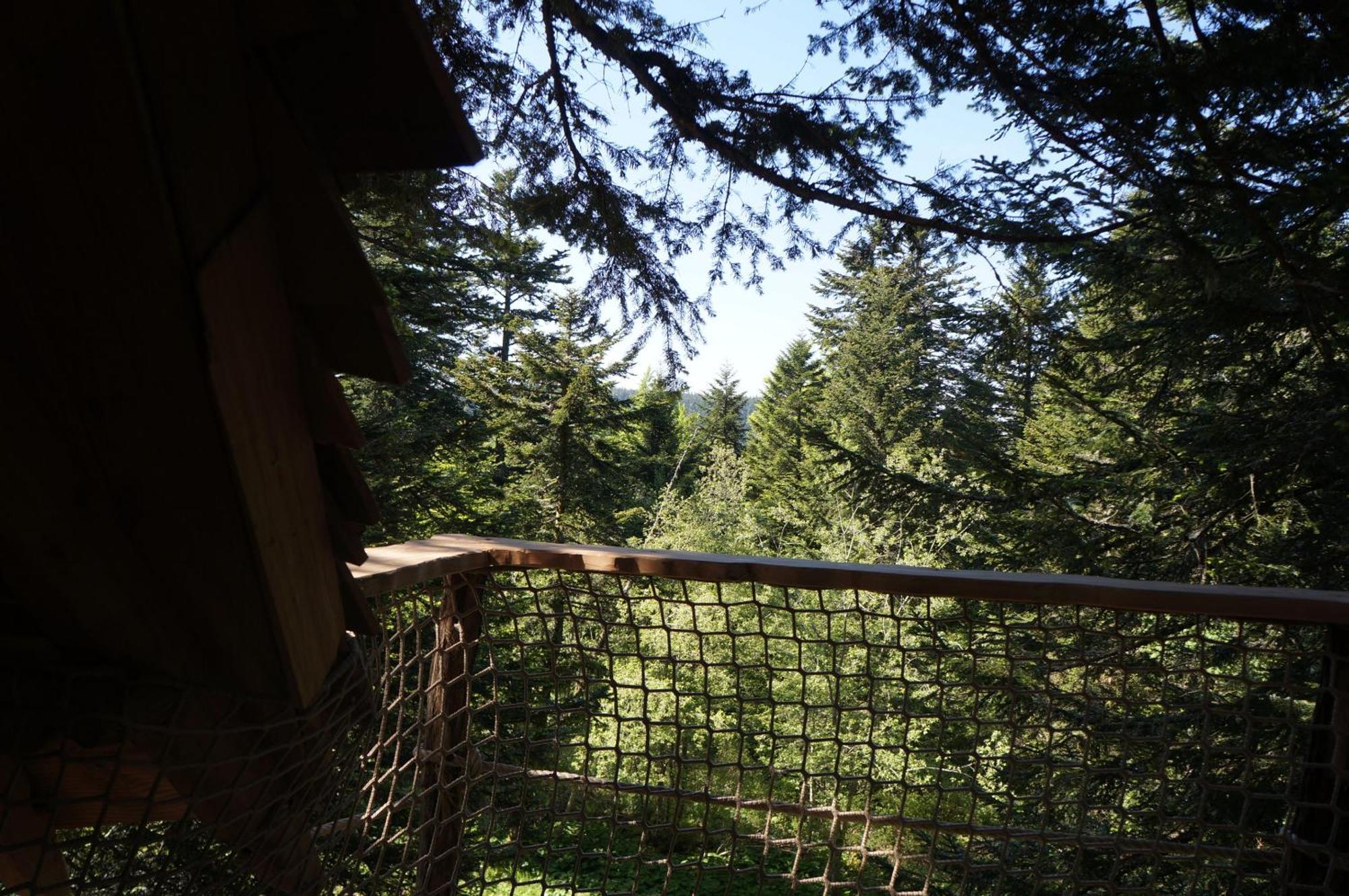 Cabanes Des Volcans La Tour-dʼAuvergne Стая снимка